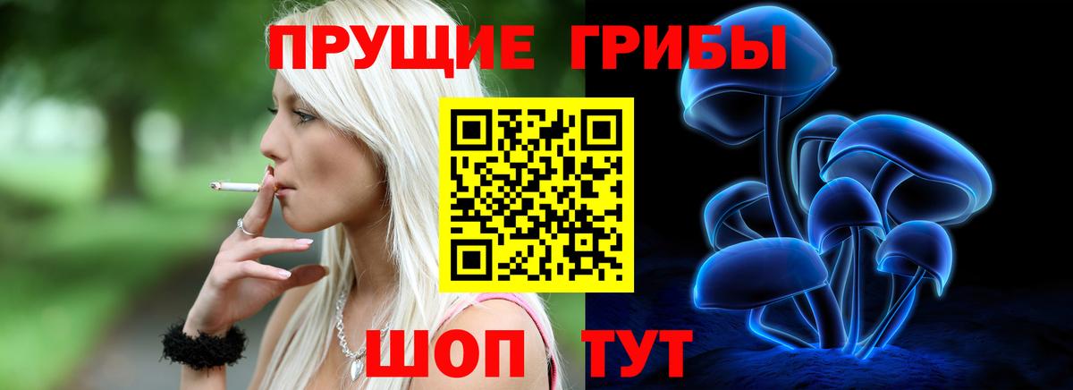 Ессентуки  Псилоцибиновые грибы Psilocybe  Вход с VPN 