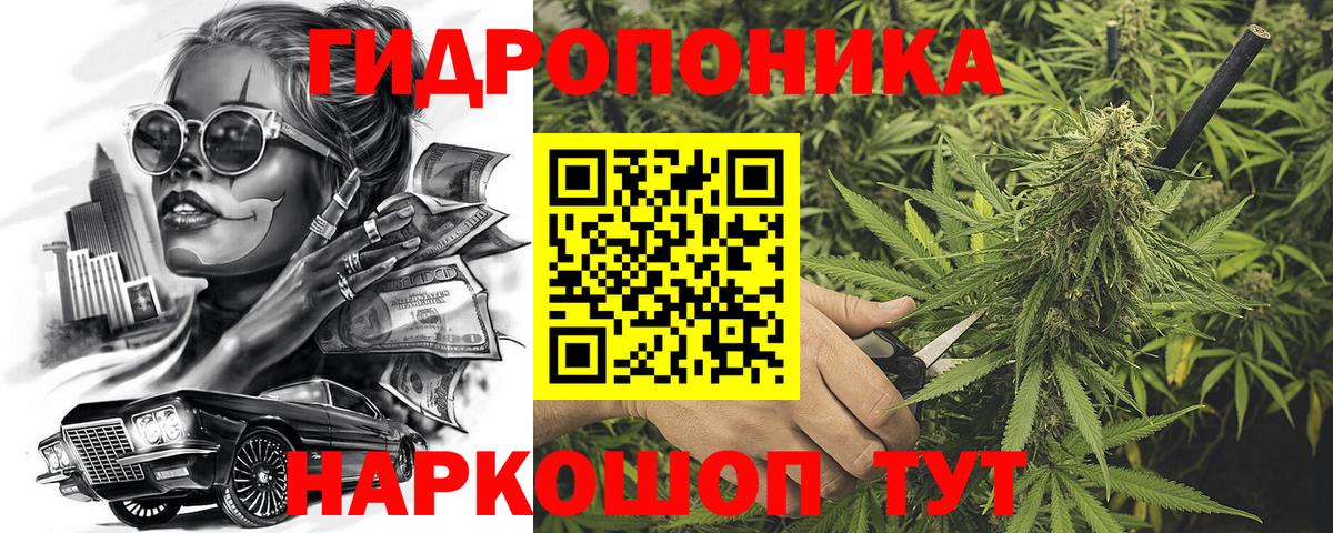 Канабис планчик  Вход с VPN  Бошки Шишки планчик  Марихуана THC 21%  Ессентуки 